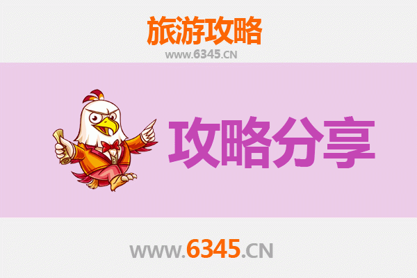 株洲荷塘旅游攻略：跟团与自由行全方位对比