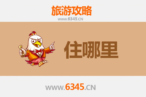 株洲荷塘区旅游住宿全攻略：舒适下榻与深度游玩指南